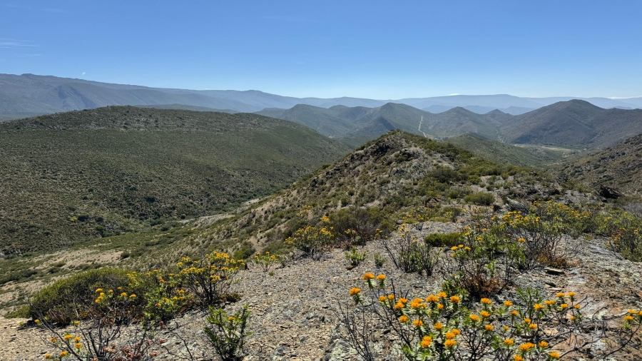 Commercial Property for Sale in Montagu Rural Western Cape